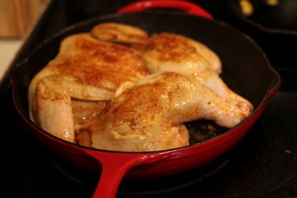 How to Make a Spatchcocked, Salted, Pan-Roasted Chicken - The Frugal Girl