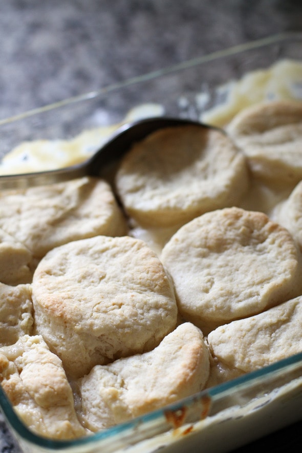 Homemade chicken and biscuits in a baking dish