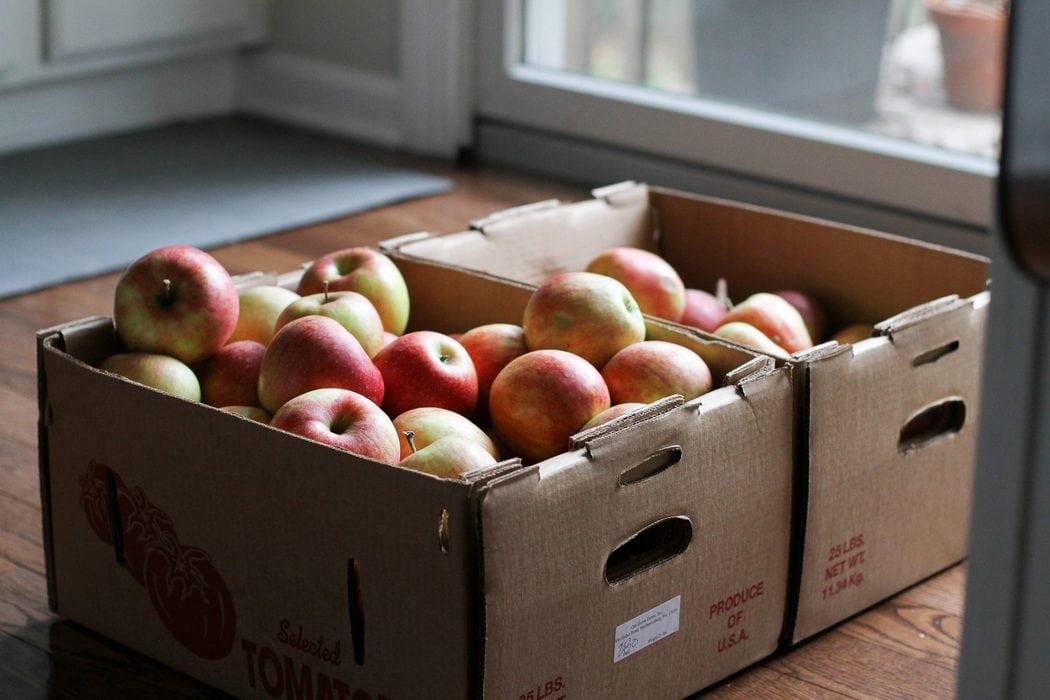 boxes of bruised apples