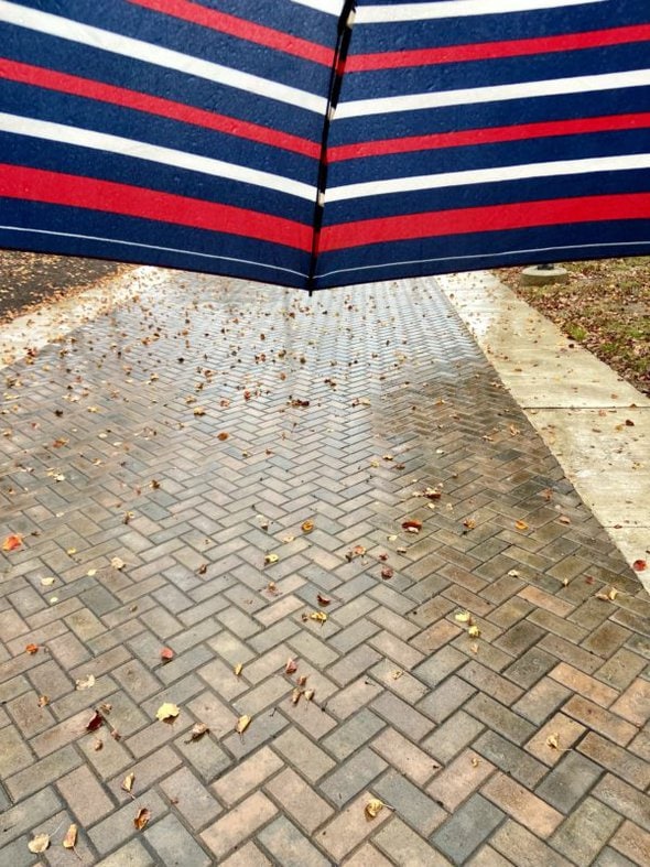 striped umbrella.