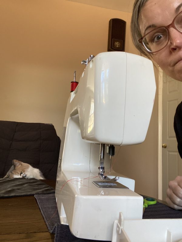 cat by sewing machine.