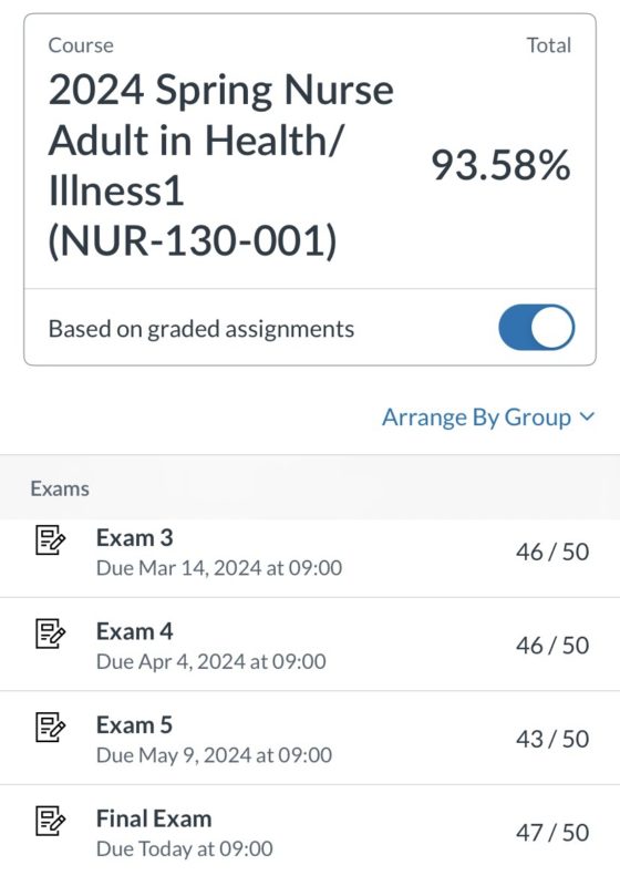 screenshot of grades.