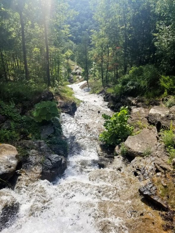 rapids in a river.