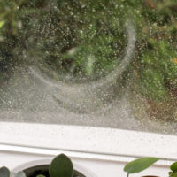 raindrops on a window.