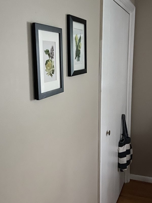 two flower prints hanging on a brown wall.