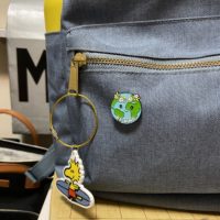 back pack with an earth pin.