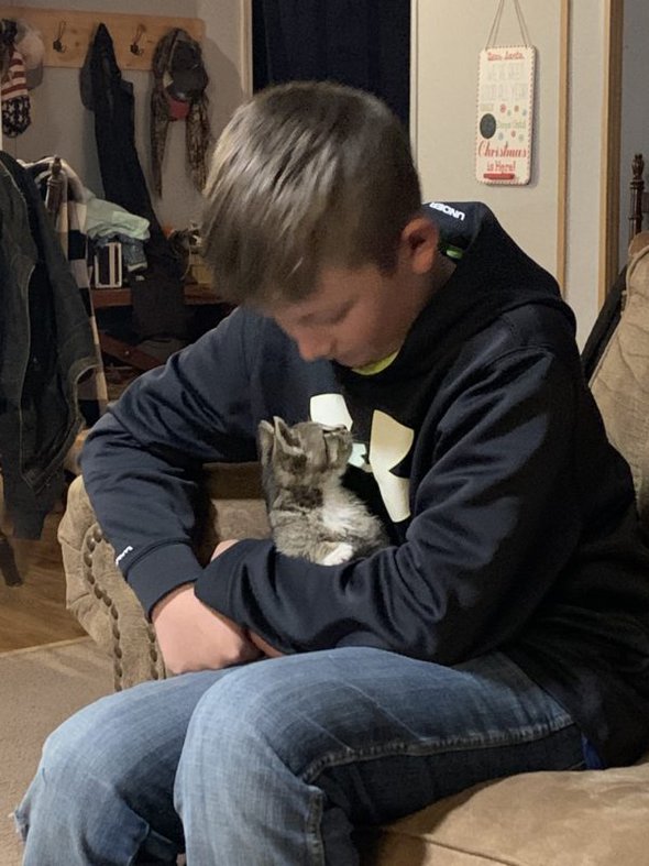 boy with a cat.