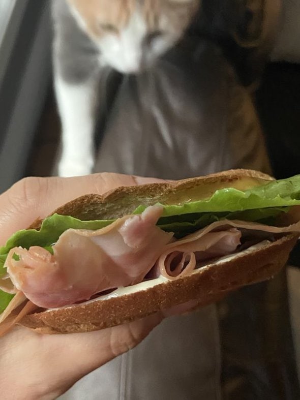 sandwich made with two bread heels.