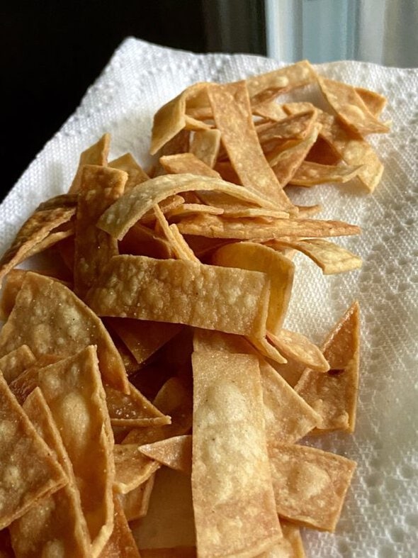 fried tortilla strips.