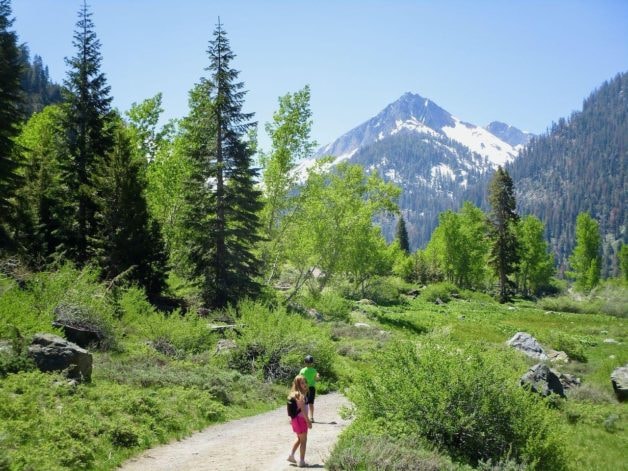 people on a hiking path.