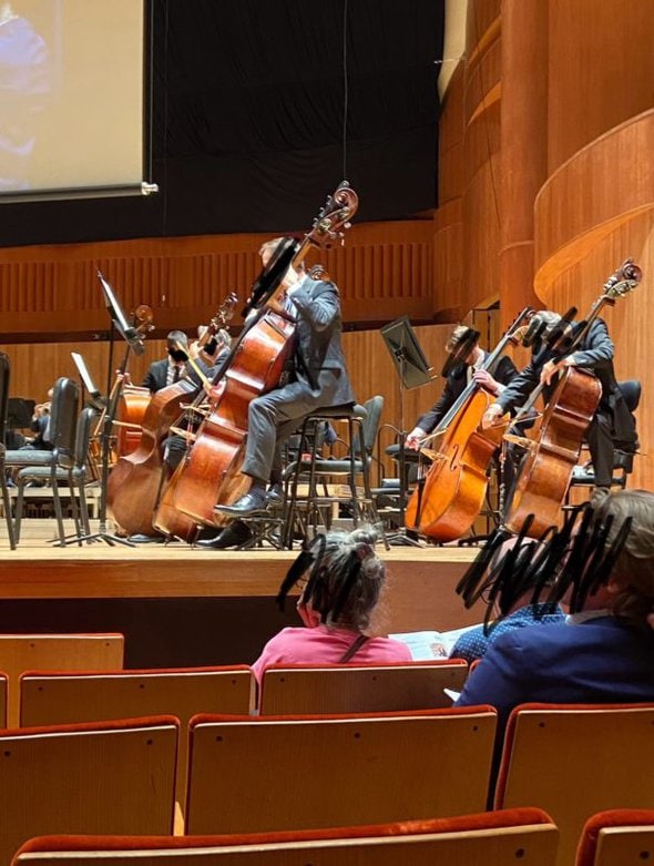 string bass section of an orchestra.