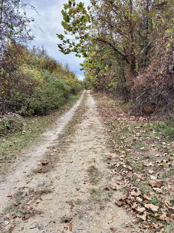 hiking trail.