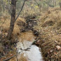 stream in the woods.