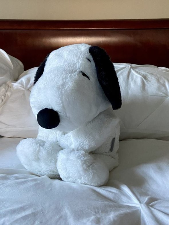 stuffed snoopy.