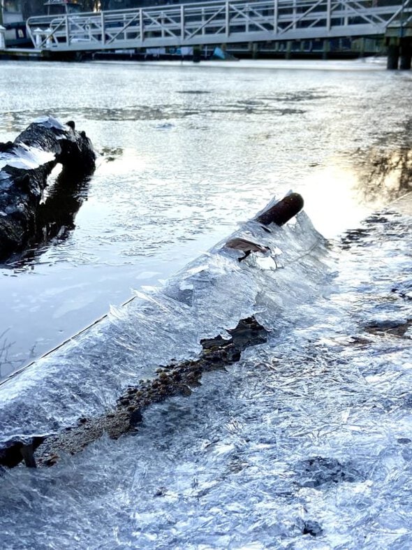 icy log.