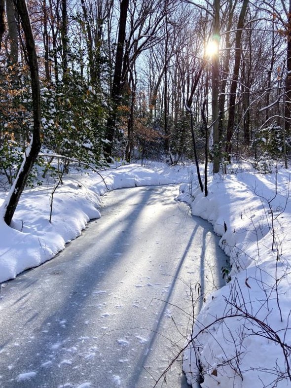 frozen creek.