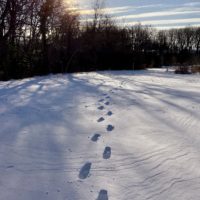 footprints in snow.