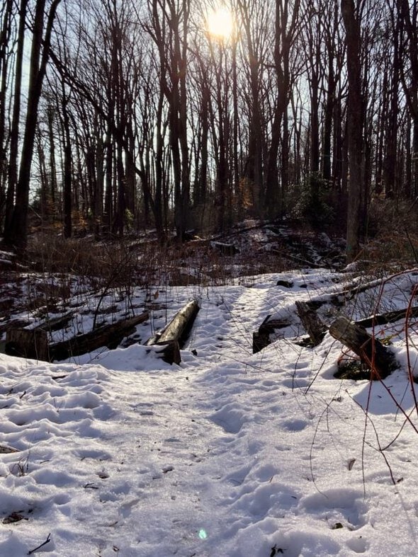 snow covered trail.