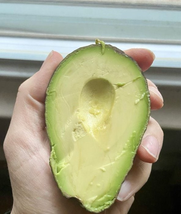 avocado half.
