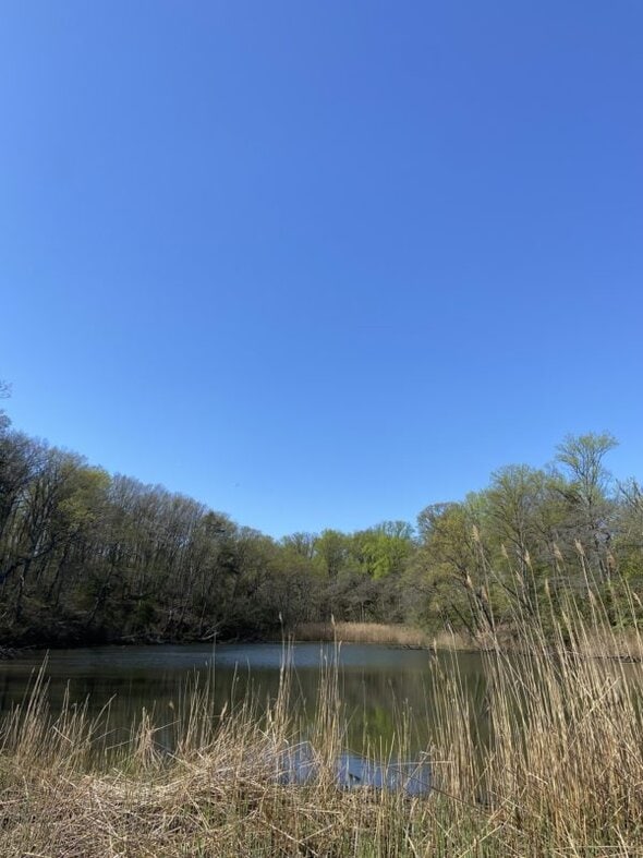 blue sky.